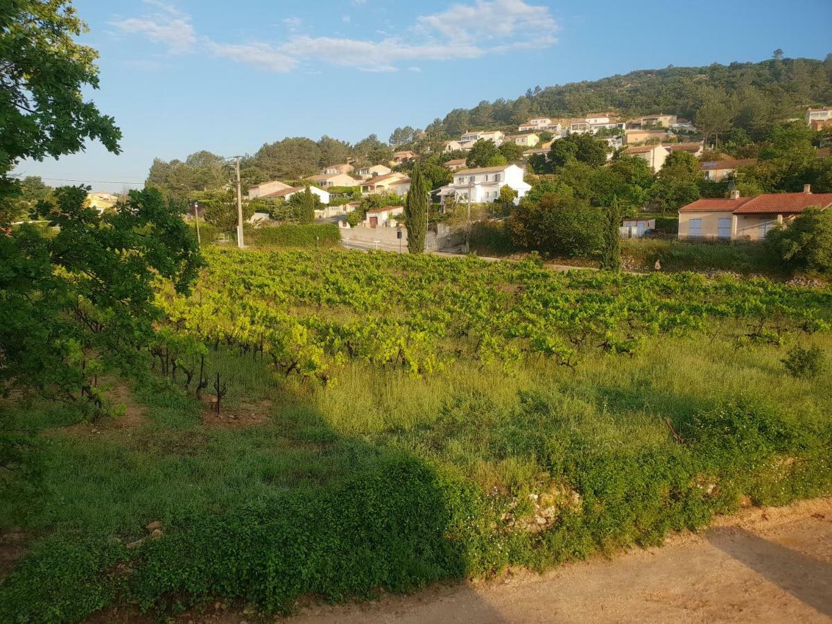 Villa Marie - Provence Cote D'Azur Cabasse 外观 照片